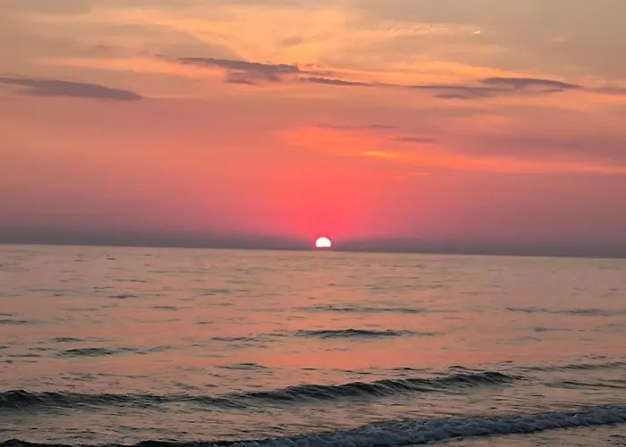 Apartamento Nectar House *